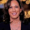 Kamala Harris paint by numbers