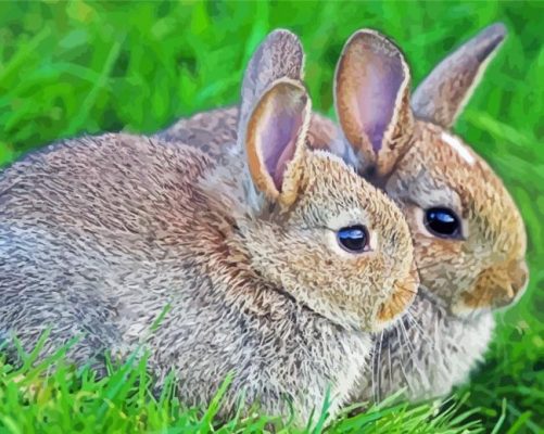 Little Hares In The Grass paint by numbers
