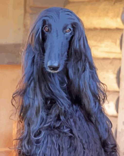 Long Haired Hound paint by numbers