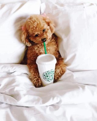 Maltipoo Dog In Bed paint by numbers