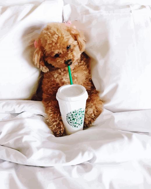 Maltipoo Dog In Bed paint by numbers