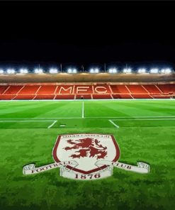 Middlesbrough FC Stadium paint by numbers