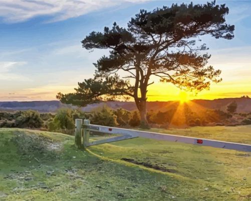 New Forest Park National piant by nuumbers