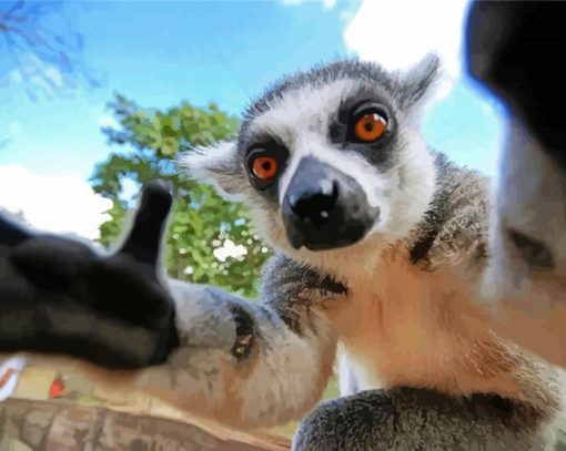 Primate Lemur Taking Selfie paint by numbers