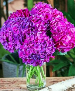 Purple Hydrangeas In Glass paint by numbers