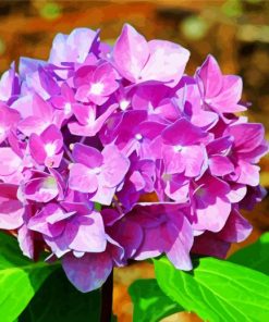 Purple Hydrangeas paint by numbers