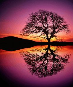 Reflection Tree By Water At Sunset paint by numbers