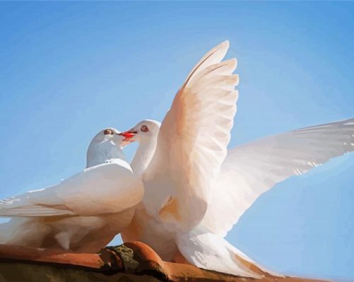 Romantic White Doves Birds paint by numbers