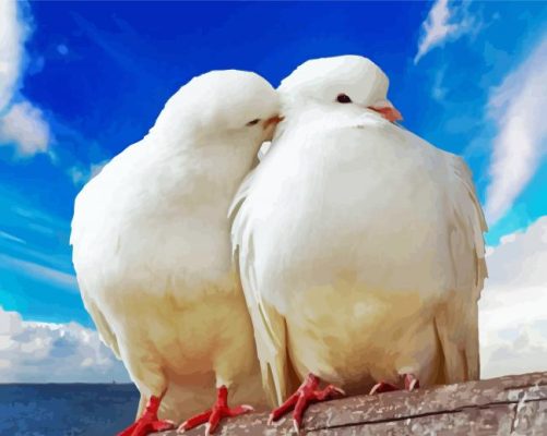 Romantic White Doves paint by numbers