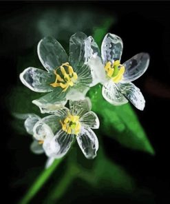 Skeleton Flower plant paint by number