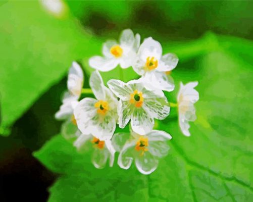 Skeleton Flowers paint by number