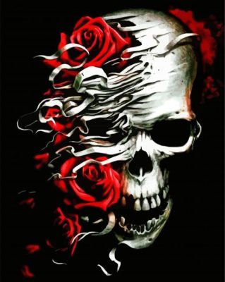 Skull And Red Roses paint by numbers