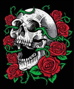 Skull And Roses Art paint by numbers