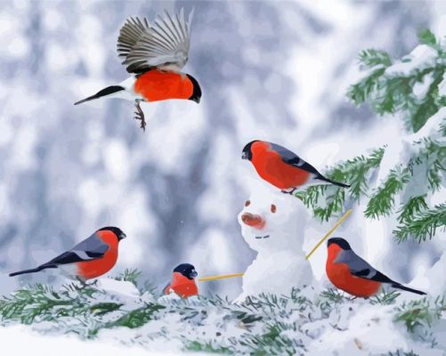 Snowman With Robin Birds paint by numbers