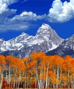 Snowy Mountains And Birch paint by numbers