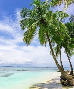 Tropical Beach With Palm Trees paint by numbers