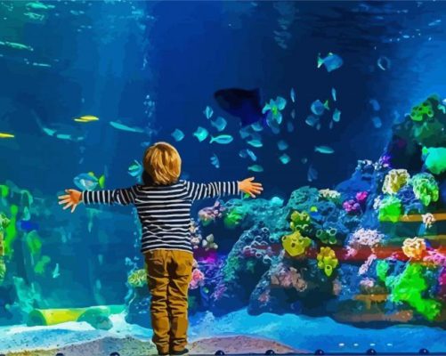 Watching Sea Life paint by numbers
