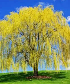 Aesthetic Weeping Willow Tree paint by numbers