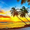 Beach With Palm Trees At Sunset paint by numbers