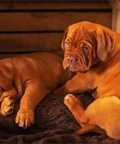 Bordeaux Dogs Puppies paint by numbers