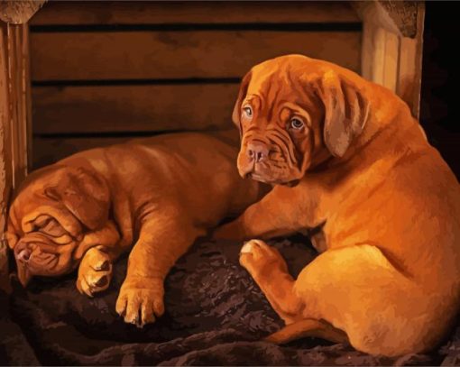 Bordeaux Dogs Puppies paint by numbers
