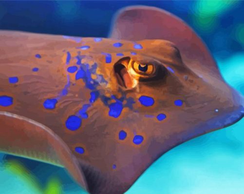 Close Up Stingray paint by numbers