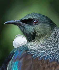 Honeyeater Tui Head paint by numbers