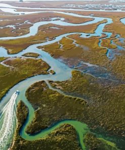 The Lowcountry Marsh Aerial paint by numbers