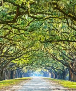 The Lowcountry Trees paint by numbers