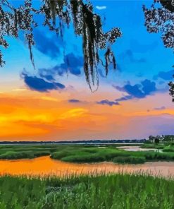 The Lowcountry Landscape paint by numbers