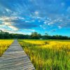 The Lowcountry Field Walkroad paint by numbers