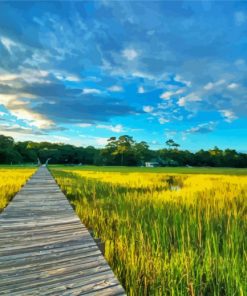 The Lowcountry Field Walkroad paint by numbers