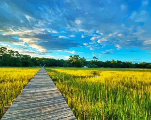 The Lowcountry Field Walkroad paint by numbers
