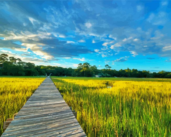 The Lowcountry Field Walkroad paint by numbers