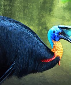 Cassowary bird paint by numbers