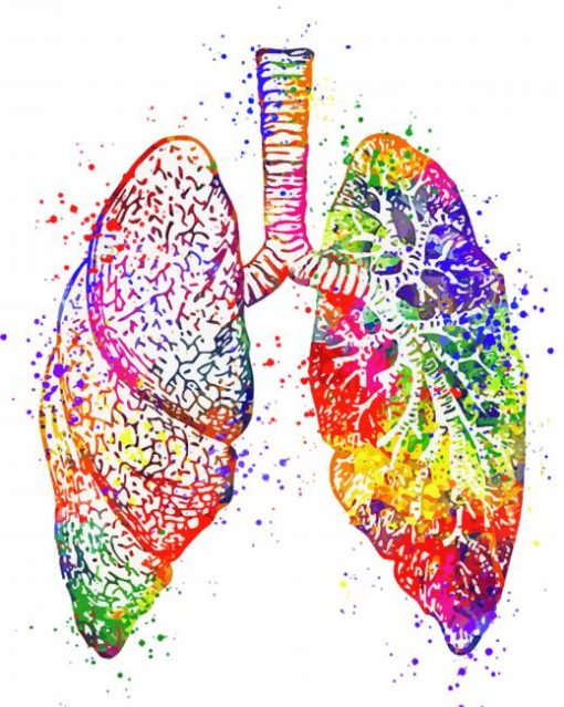 Colorful Lungs paint by number