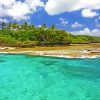 beach in Niue island paint by numbers