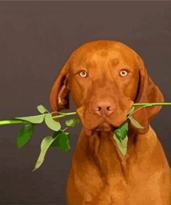 Brown Dog Holding a Red Rose paint by numbers