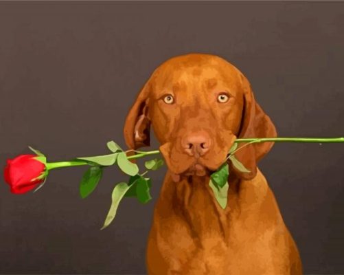 Brown Dog Holding a Red Rose paint by numbers