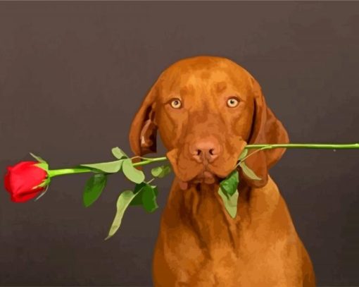 Brown Dog Holding a Red Rose paint by numbers