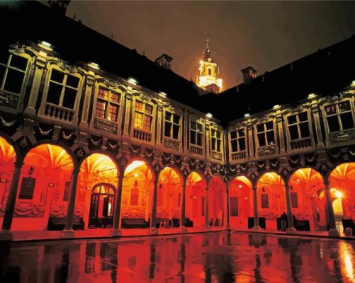 la vieille bourse lille at night paint by numbers