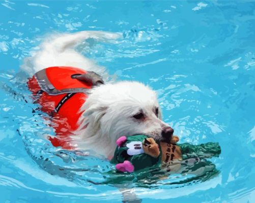 White Dog In Water paint by numbers
