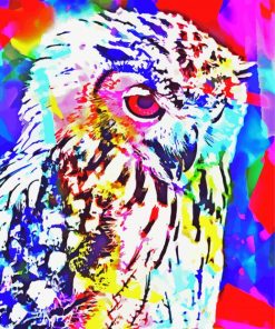 Abstract Owl Bird paint by numbers