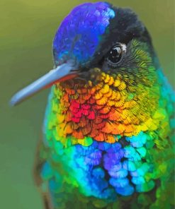 Aesthetic Rainbow Hummingbird paint by numbers