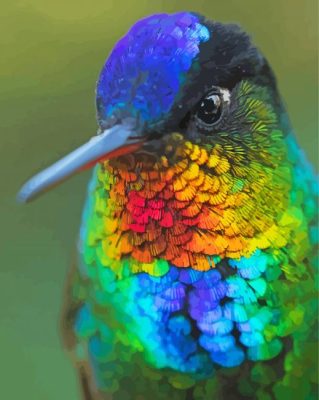 Aesthetic Rainbow Hummingbird paint by numbers