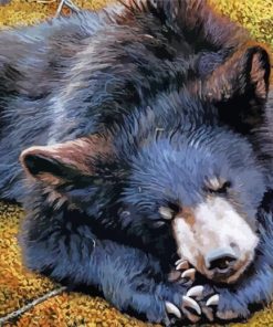 Black Sloth Bear paint by numbers