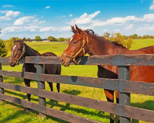 Farm Horses paint by numbers