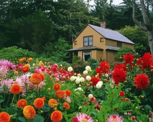 House With Flowers Garden paint by numbers