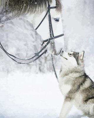 Snow Horse And Husky Animals paint by numbers