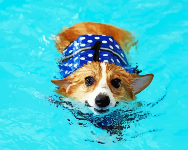 Adorable Dog In Water paint by numbers